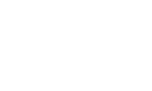 6 6